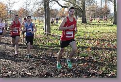 Begles 15.12.13 01 575 * 679 x 453 * (223KB)